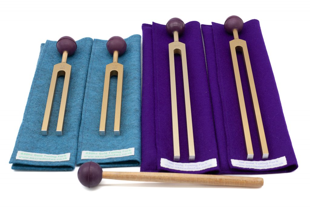 Vagus Nerve Rejuvenation Training Kit 1 Sacred Notes