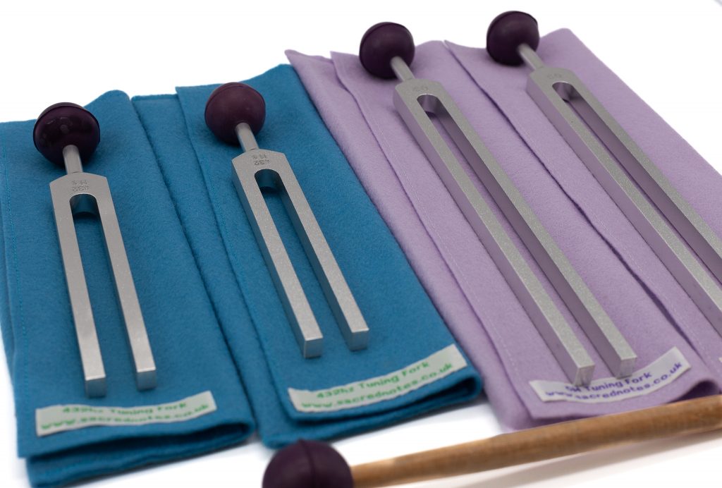 Vagus Nerve Rejuvenation Training Kit 1 Sacred Notes